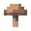 Brown mushroom